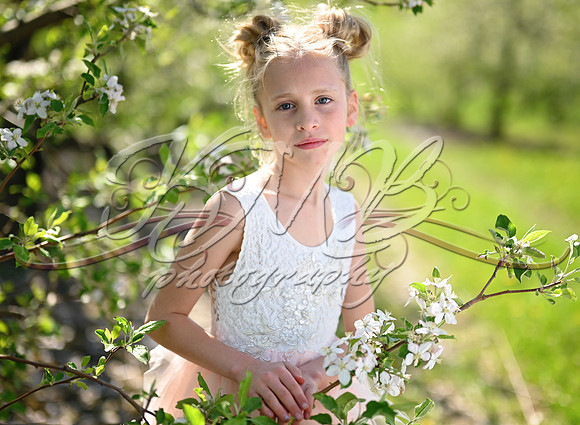 DSC_0456-Edit