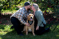Pavlovski-6