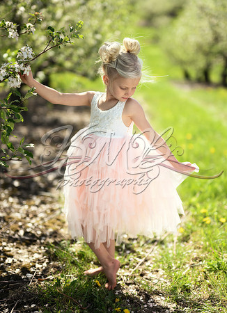 DSC_0343-Edit