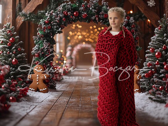 Gingerbreadmanarchwaybackdrop2 copy