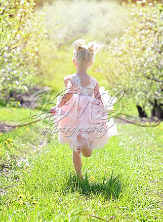 DSC_0373-Edit