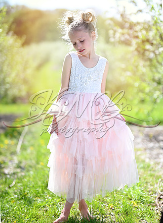 DSC_0452-Edit