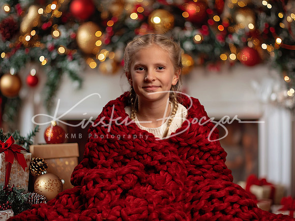Christmasstudioportraitbackdrop copy