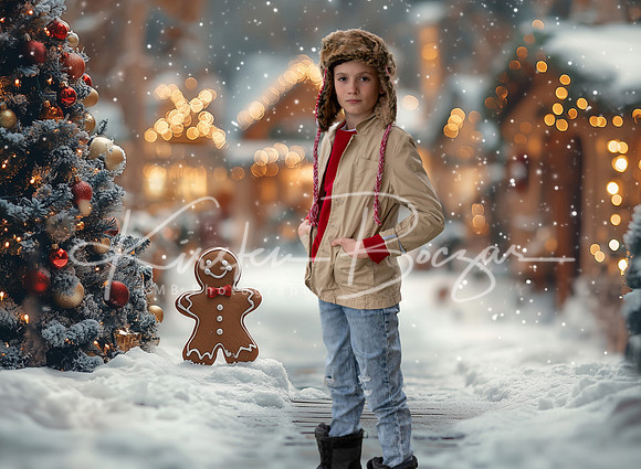 gingerbreadwinterpathway copy