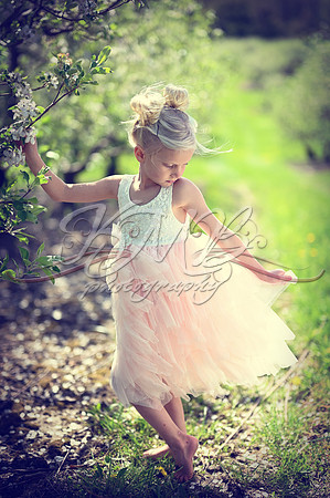 DSC_0345-Edit