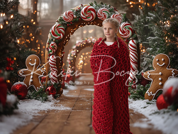 Gingerbreadmanarchwaybackdrop3 copy