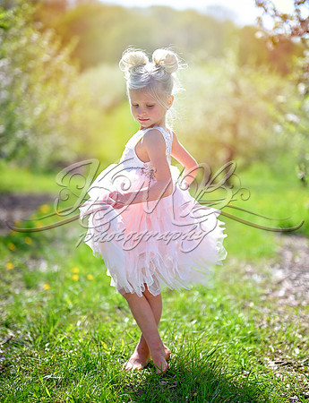 DSC_0353-Edit