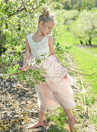 DSC_0485-Edit