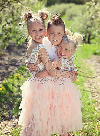 DSC_0261-Edit
