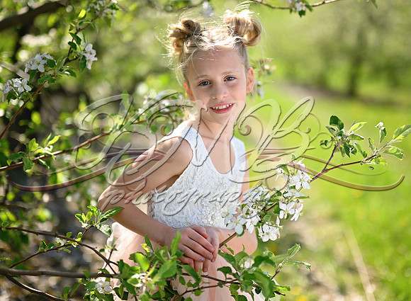 DSC_0461-Edit