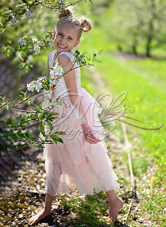 DSC_0470-Edit