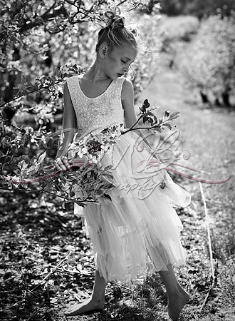 DSC_0486-Edit