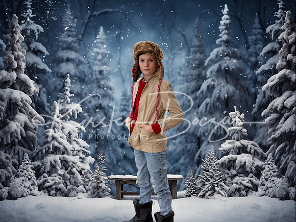 Snowywinterbackdrop copy