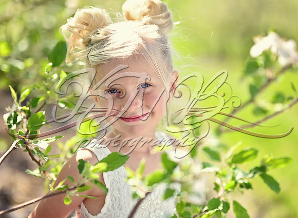 DSC_0327-Edit