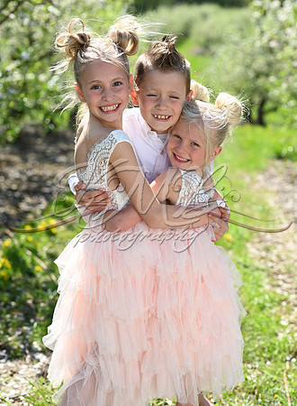 DSC_0262-Edit
