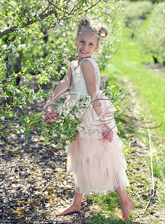 DSC_0493-Edit