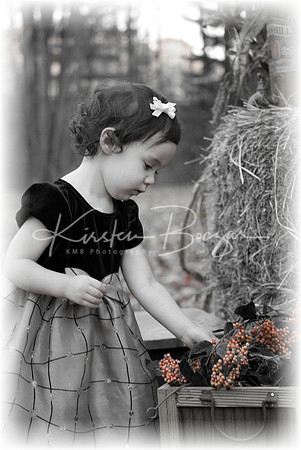 Anaorangecolor&border